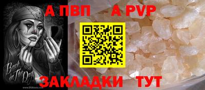 a pvp Славгород