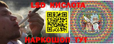 a pvp Славгород