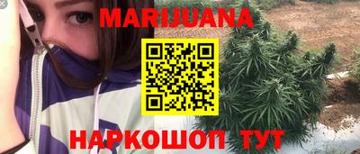a pvp Славгород