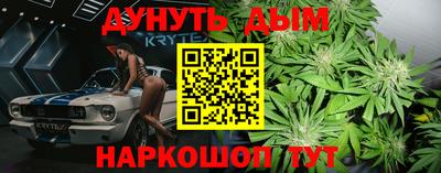 a pvp Славгород