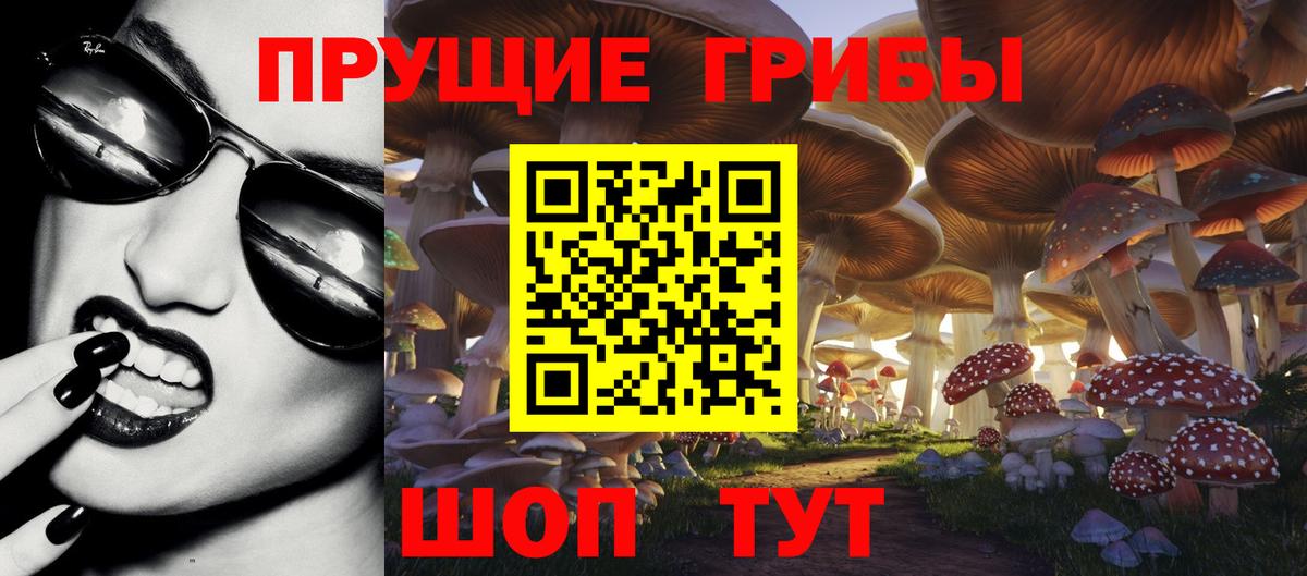 Псилоцибиновые грибы GOLDEN TEACHER  Вход с VPN  что такое   Протвино 